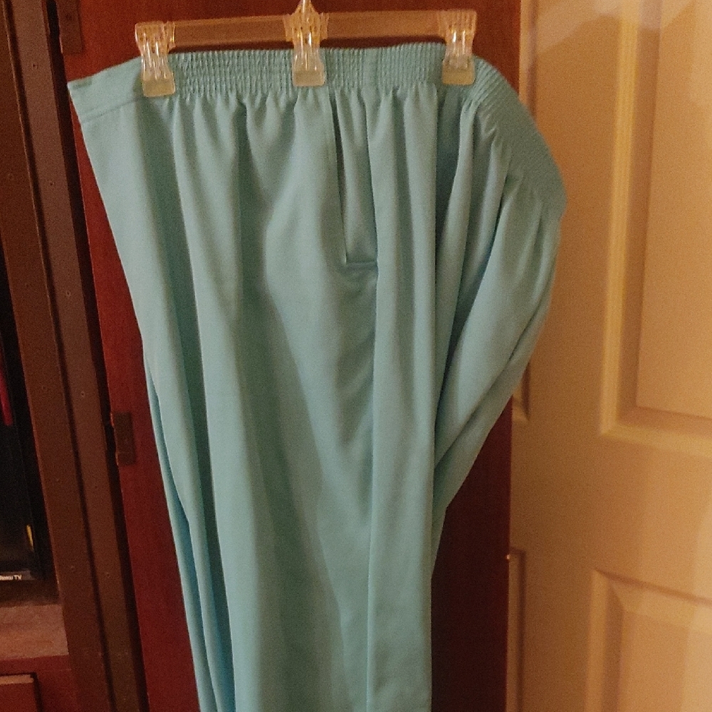 Alfred Dunner Women's Light Blue Pants